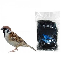 새망 대 2.5m x 12m 방조망 새그물망