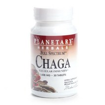 플래너터리허벌스 차가버섯 1000mg 타블렛, 30개입, 1개