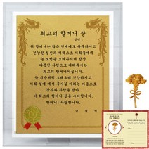럭키심볼 크리스탈 감사패 8G 최고의 할머니상 + 24K골드 카네이션 전자파 스티커