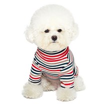 배니즈 개니클로 반려동물 터틀넥 스트라이프 긴팔 티셔츠, 레드그린