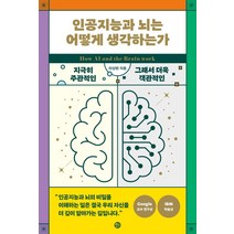 [솔]인공지능과 뇌는 어떻게 생각하는가 : 지극히 주관적인 그래서 객관적인 생각의 탄생, 솔, 이상완