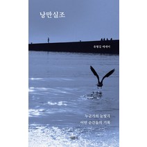 [채륜서]낭만실조, 채륜서, 유형길