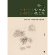 국가 있어야 할 곳에는 없고 없어야 할 곳에는 있다:자유주의와 사회안전망을 위한 혁명, 도서출판 선, 김병준