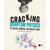 [북스힐]한 권으로 이해하는 양자물리의 세계 (CRACKING QUANTUM PHYSICS), 북스힐, 브라이언 크레그