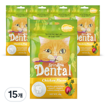캣템 스피루리나 고양이 덴탈 간식 60g, 치킨, 15개