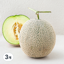 곰곰 머스크 멜론, 2kg, 3개