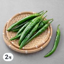 곰곰 친환경 오이고추, 300g, 2개