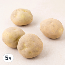 곰곰 감자, 500g, 5개