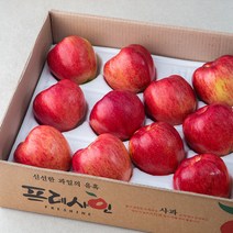 프레샤인 충주 GAP 인증 당도선별 사과, 5kg(14~16입), 1박스