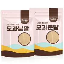 모과 분말, 300g, 2개