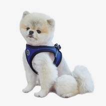 리얼펫 4계절슬림 조끼하네스, ROYAL BLUE