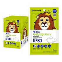 웰킵스 미세먼지황사마스크 대형 KF80, 1개, 25개