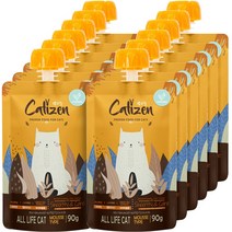 캣티즌 무스 고양이 간식 90g x12개 파우치, 닭고기, 1세트