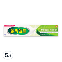 글락소스미스클라인 후레쉬 민트 의치 부착재 70g 수인12-678호, 1개입, 5개