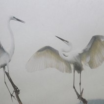 닥순지롤 롤타입