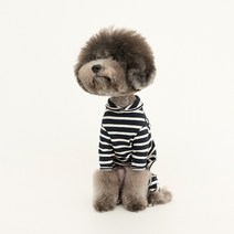 꼬떼아꼬떼 반려견 파리지앵 스트라이프 올인원, 네이비