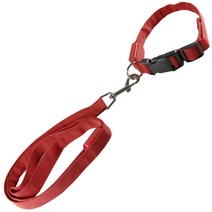 인터팝 다기능 LED 강아지 목줄 + 로프 세트 XL, 레드