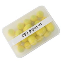황씨네도시락 PP 내열 도시락 1칸 8p + 뚜껑 8p + 캘리 선생님맛있게 띠스티커 화이트 8p, 1세트, 8개