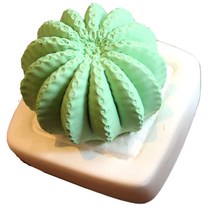 미쁘다 선인장 석고 방향제 그린, 블랙체리