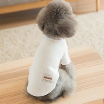 이코디 반려동물 심플 스웨터, 화이트