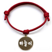 펫츠룩 굿모닝 레드 반려동물 목걸이 S + 메탈원형 팬던트 M, 골드(하늘이), 1개