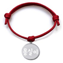 펫츠룩 굿모닝 레드 반려동물 목걸이 M + 메탈원형 팬던트 M, 실버(몽실이), 1개