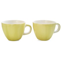 에코사랑 사핸미 카푸치노 2인조 머그컵세트, Green, 2개입