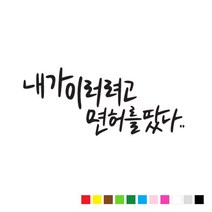 본투로드 초보 운전 스티커 캘리그라피 TYPE 11 내가 이러려고 면허를 땄나, 흰색, 1개