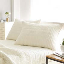 쉬즈홈 베이직피그먼트 베개커버 2p