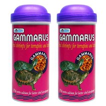 아마존 감마루스 거북이 사료, 250ml, 2개입