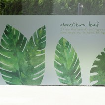 뭉키월드 고급칼라 안개시트 + 밀대, 워터칼라 몬스테라 02