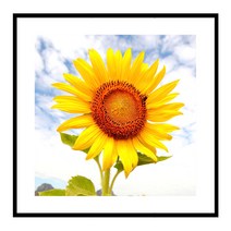 더윤 북유럽 캔버스액자 FLO0020 CA 정사각형, 메탈블랙
