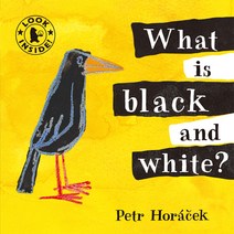 What Is Black and White, Walker