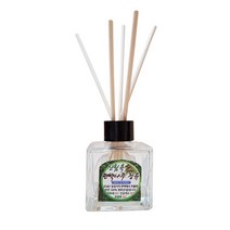 편백아트 정유 사각 디퓨저 본품 50ml + 우드스틱 5p, 편백, 1세트