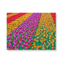 리틀하이커 flower 캔버스액자A3W35 08