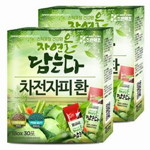 굿허브 조은약초 자연을 담는다 스틱형 차전자피환, 60포, 3g