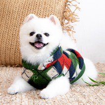 퍼피아 강아지고양이옷 졸리 후드티, 그린