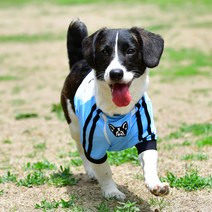 독트린 축구 유니폼 라운드티 강아지옷, 스카이블루