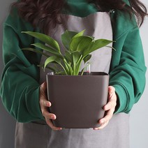 모리앤 물주는 시기를 알수있는 플랜트 눈금화분 사각, 브라운