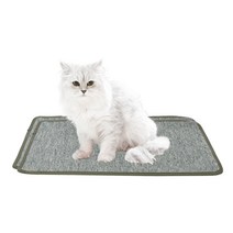 펫트롱 고양이 카페트 스크래쳐 평판형 L, 그린, 2개