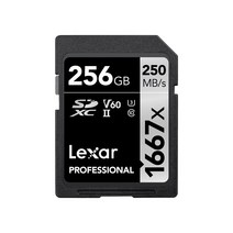렉사 SDXC 1667배속 UHS-2 카드, 256GB