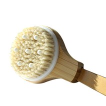 우드 바디 브러쉬 분리형, 혼합색상, 1개, 1개입