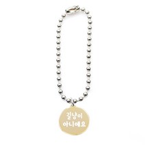 펫츠룩 써지컬체인B 반려동물 목걸이 M + 인식표 원형골드, 길냥이아니에요