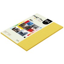종이문화 프린트 프로 칼라 복사용지 No 06 딥옐로우 80g, B4, 85개
