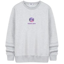 네스파 퍼플지구 특양면 맨투맨 SEM_0603