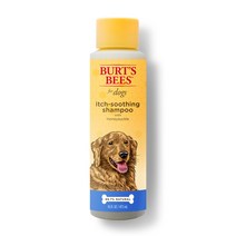 버츠비 이치 수딩 강아지 샴푸, 473ml, 1개