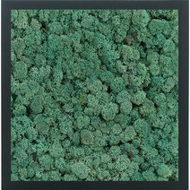 스칸디아모스 액자 프라모 BLACK 프레임 퍼시픽 그린, 1개