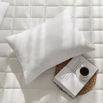 쉬즈홈 지퍼형 일반 구름베개솜, 화이트, 1개