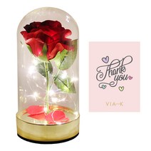 비아케이스튜디오 골드 쁘띠 로즈돔 LED 무드등 + 땡큐카드, 레드
