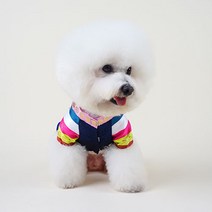황진이 올인원 반려동물 한복, 혼합색상